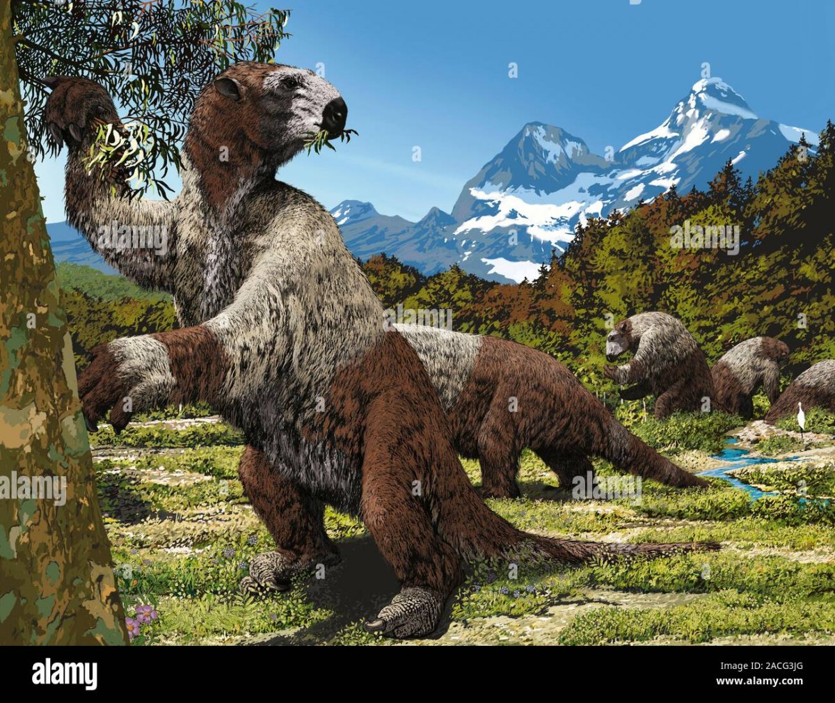 Пещерная Рысь