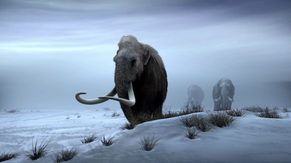 Ледниковый период погоня за яйцами 2016