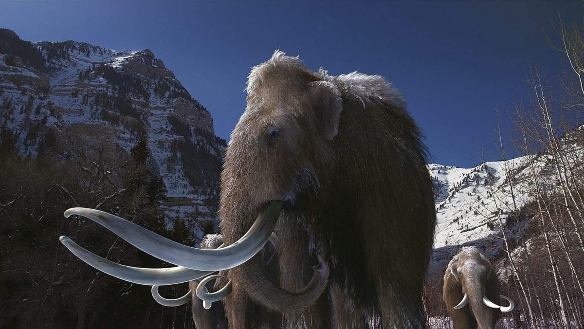 Обои на рабочий стол Ледниковый период