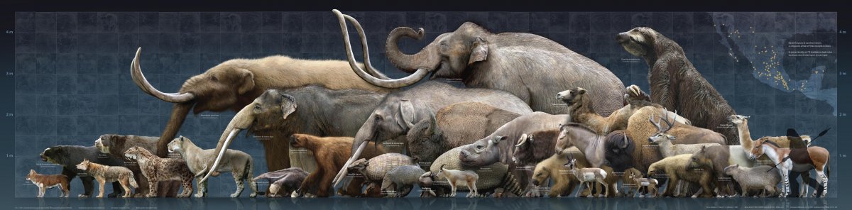 Энни Ледниковый период