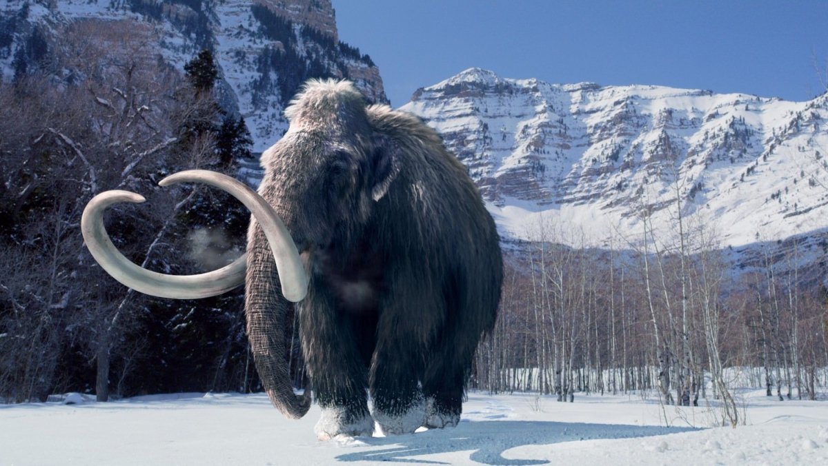 Тундростепь ледникового периода