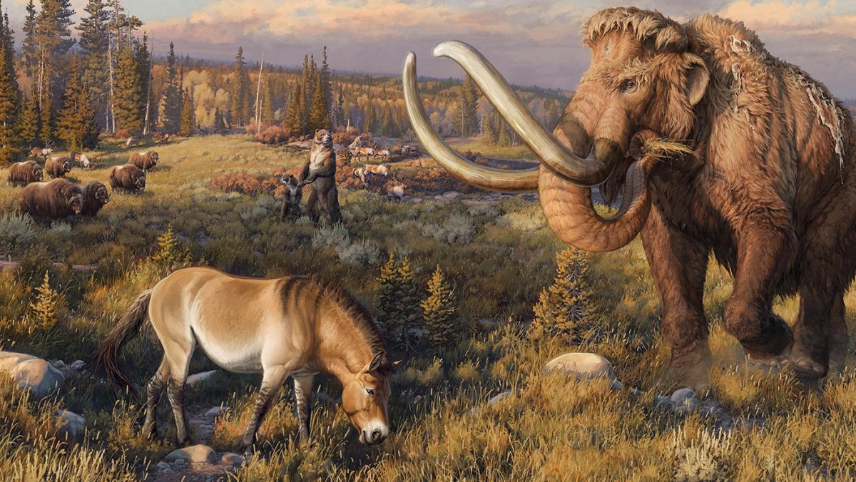 Тундростепь ледникового периода