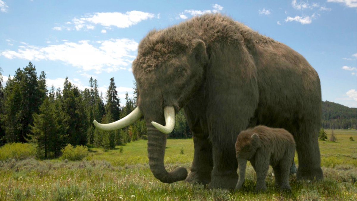 Мамонты Титаны ледникового периода