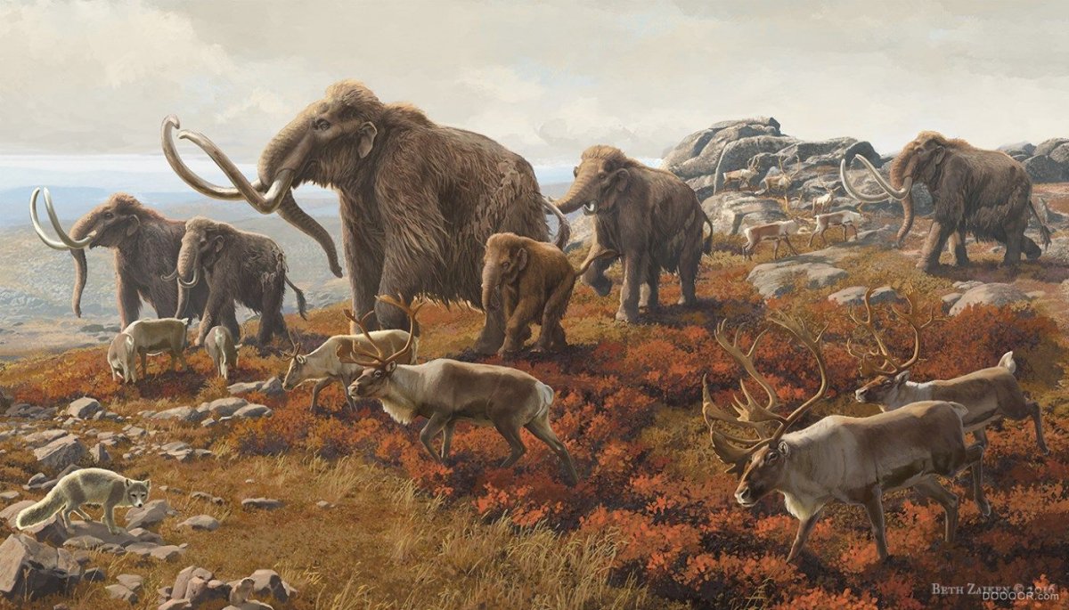 Мультфильм Ледниковый период Элли и Мэнни