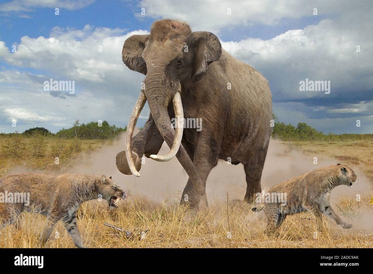 Клонирование древних животных