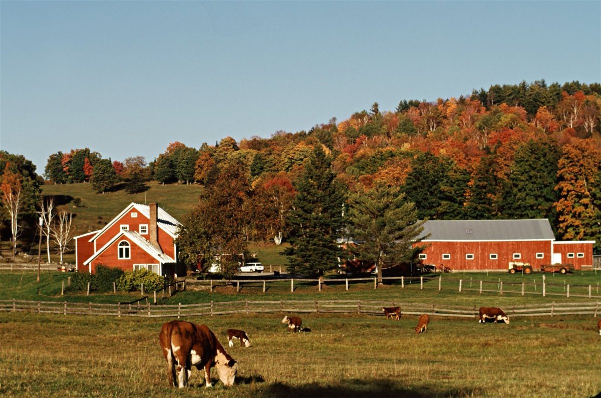 Штат Мэн ферма