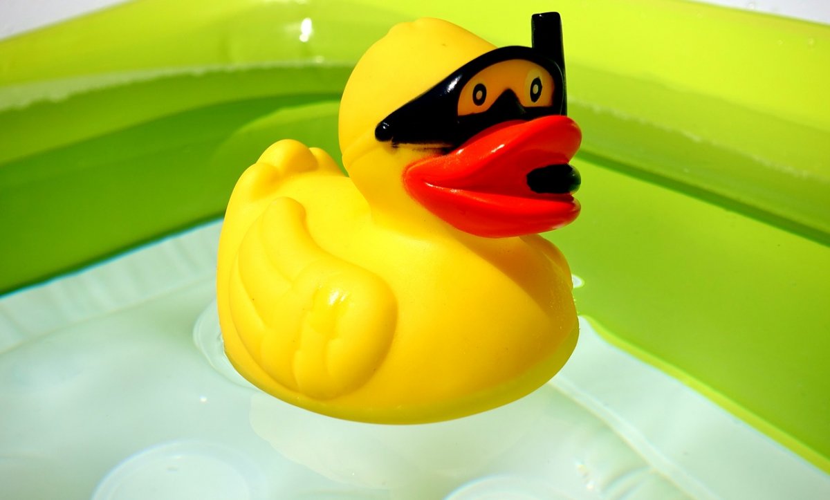 Резиновые уточки прикольные