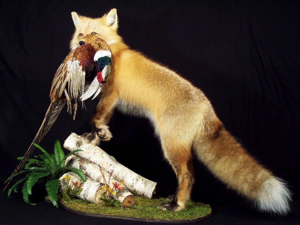 Упоротые животные