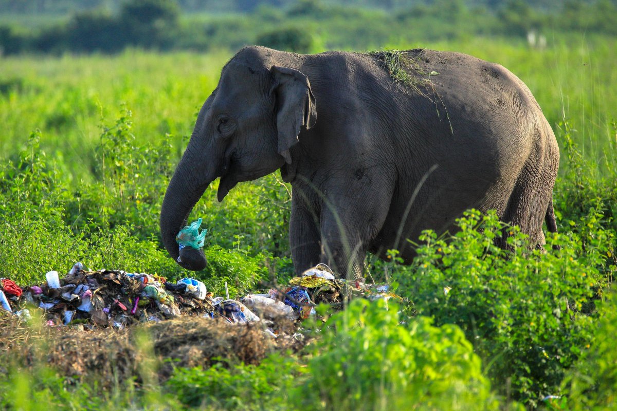 Загрязнение морей
