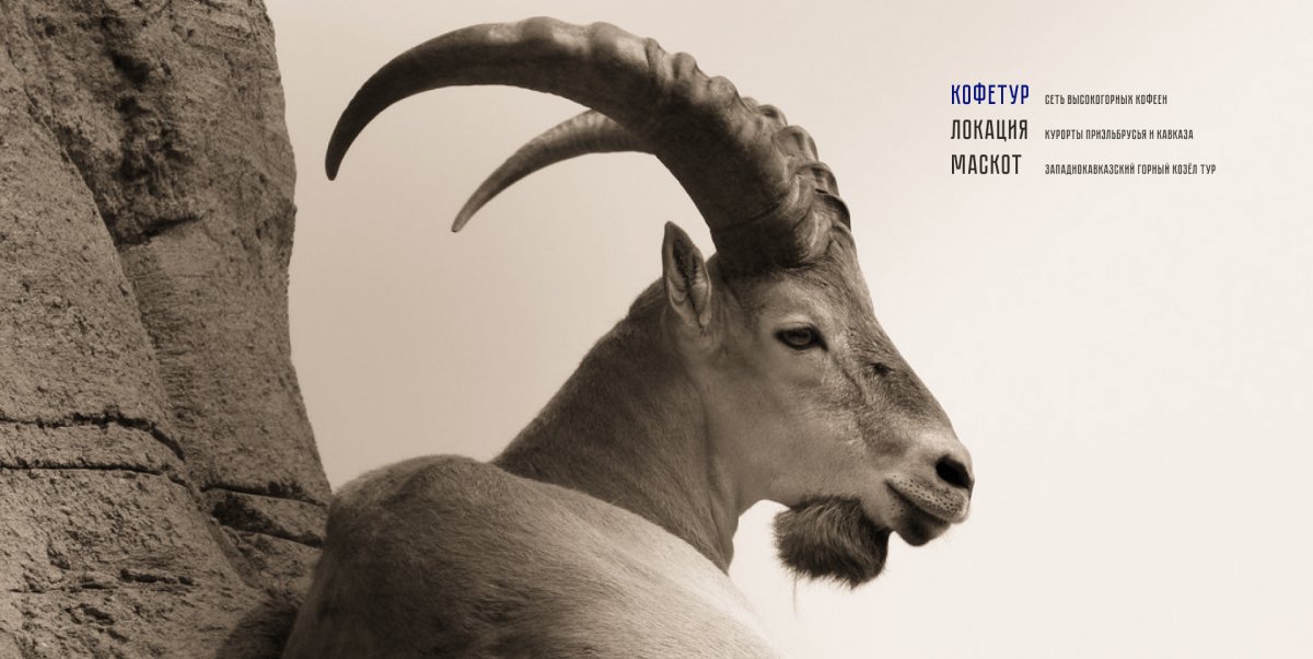 Горный козел в Дагестане