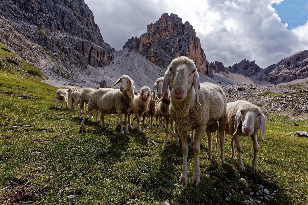 Дагестанский тур