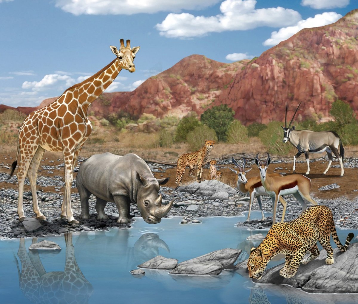 Африка Саванна водопой