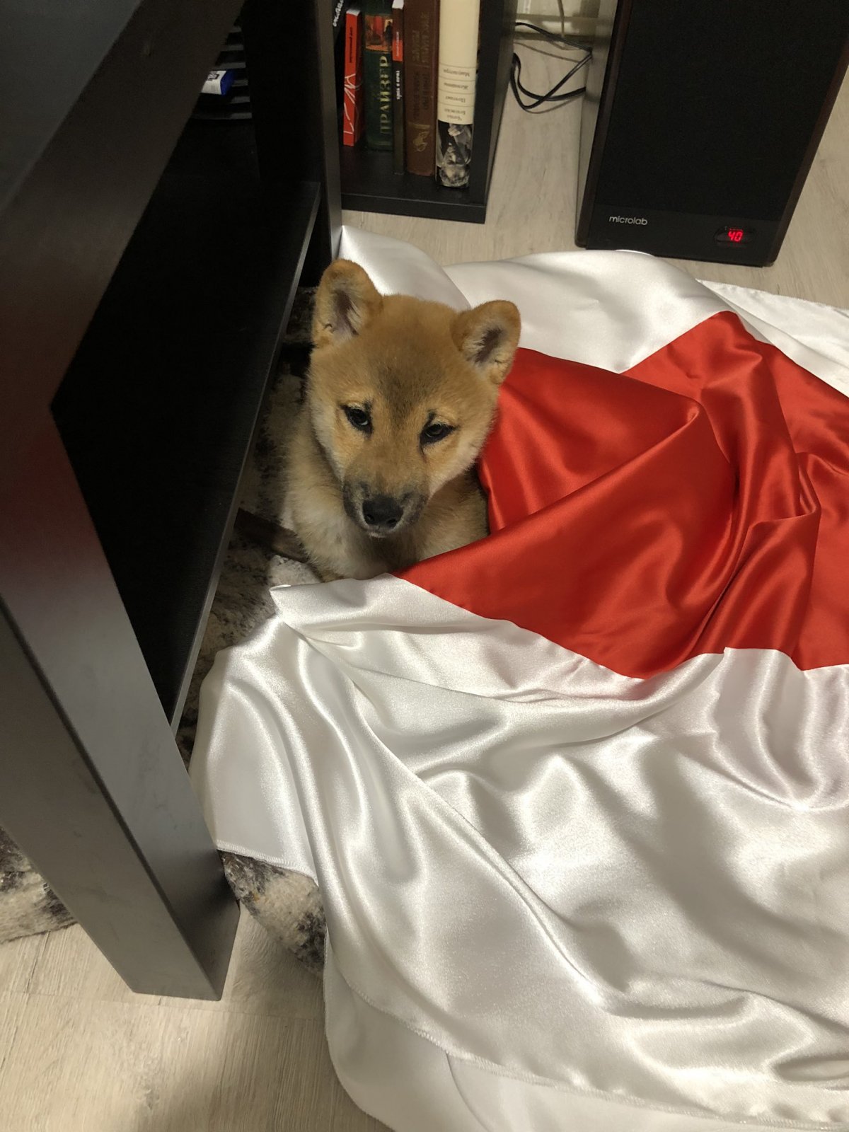 Сопреженте ДУК сабачька