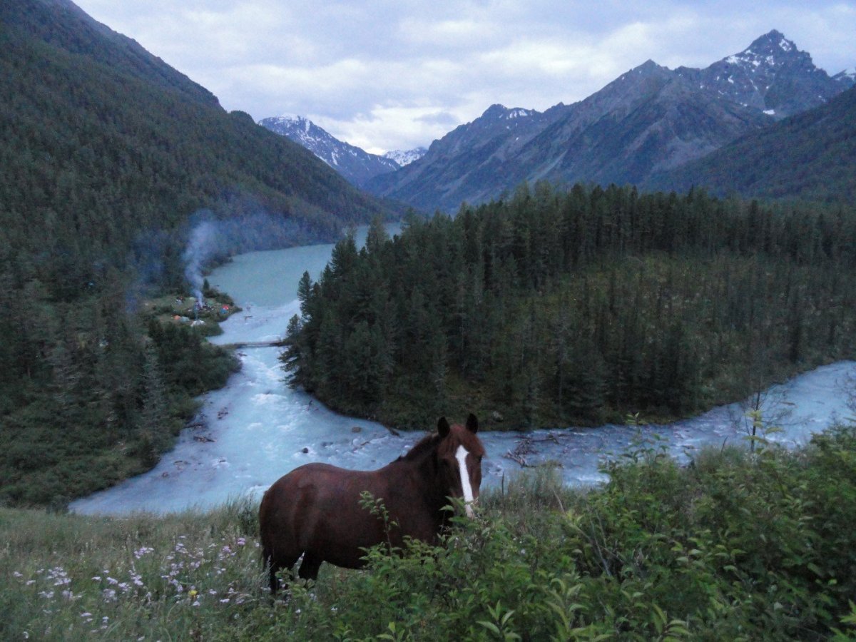Село Кучерла Республика Алтай