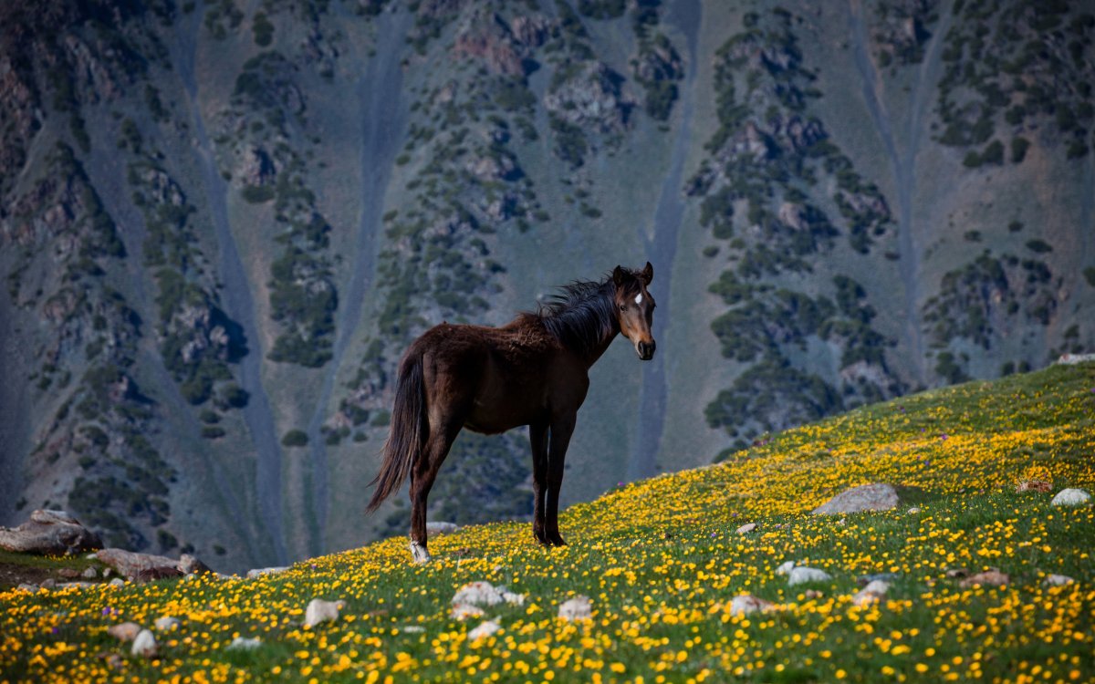 Григорьевское ущелье озеро