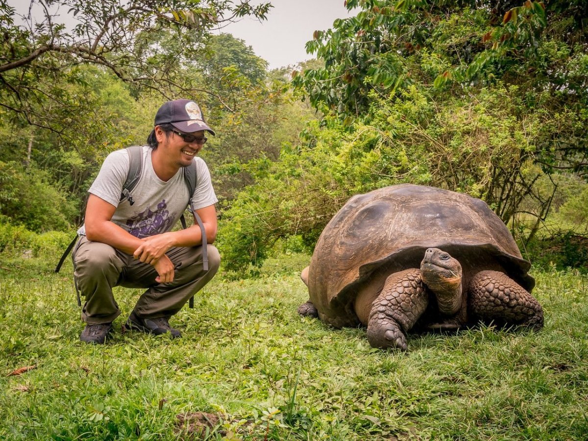 Самые медленные животные в мире топ 10