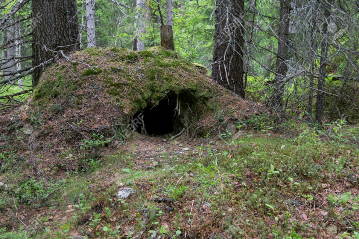 Волчье Логово жилище Волков
