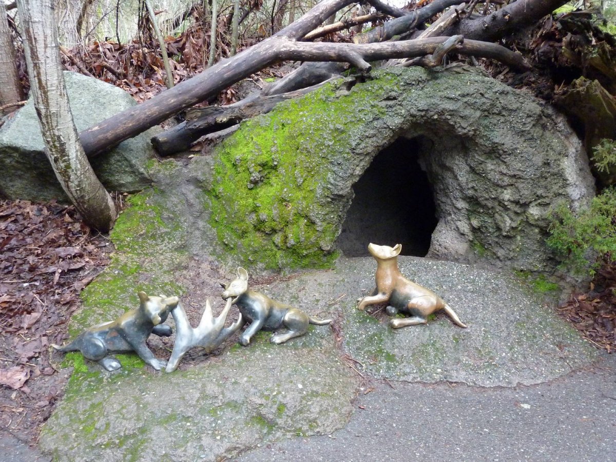 Жилище Волков в лесу