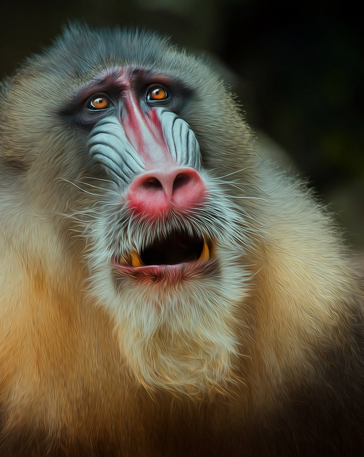 Накрашенная обезьяна