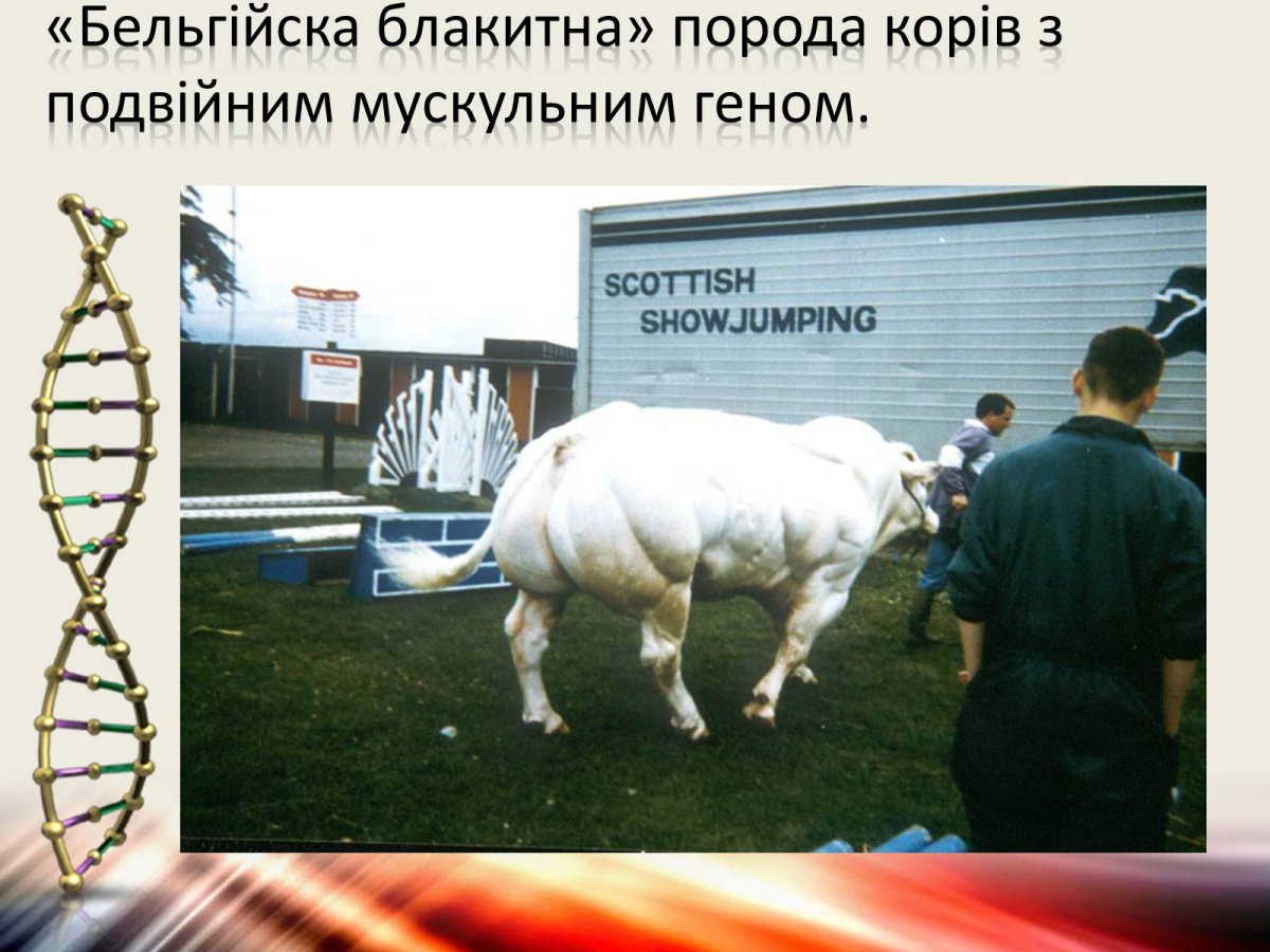 Генетически модифицированные организмы животные