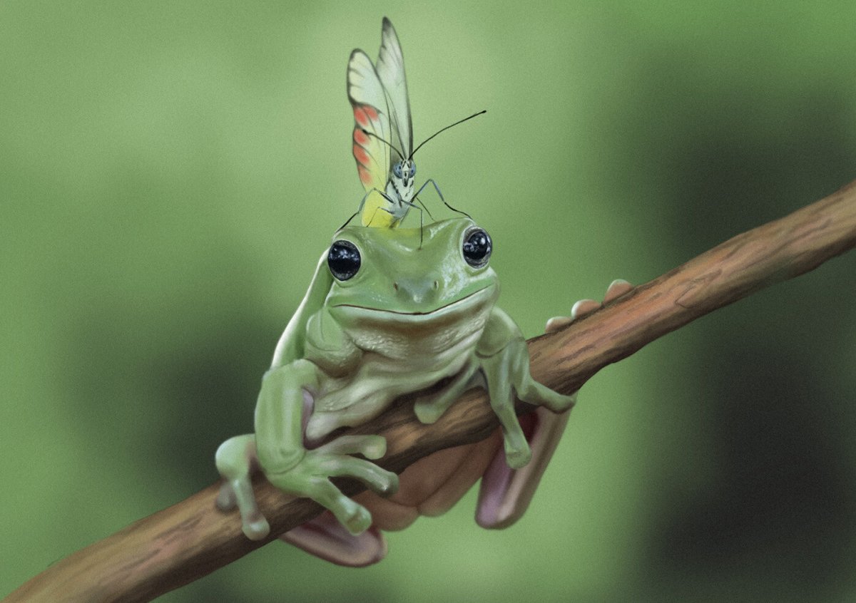 Танто Йенсен — индонезийский фотограф