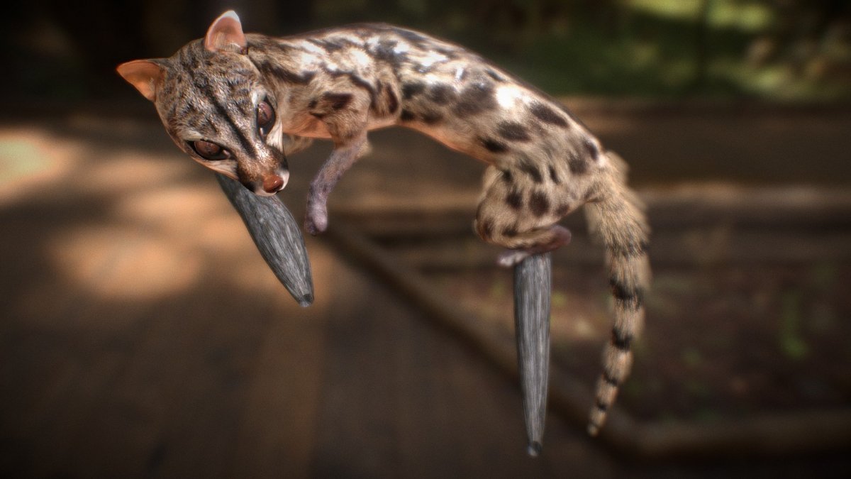 Лесная генетта