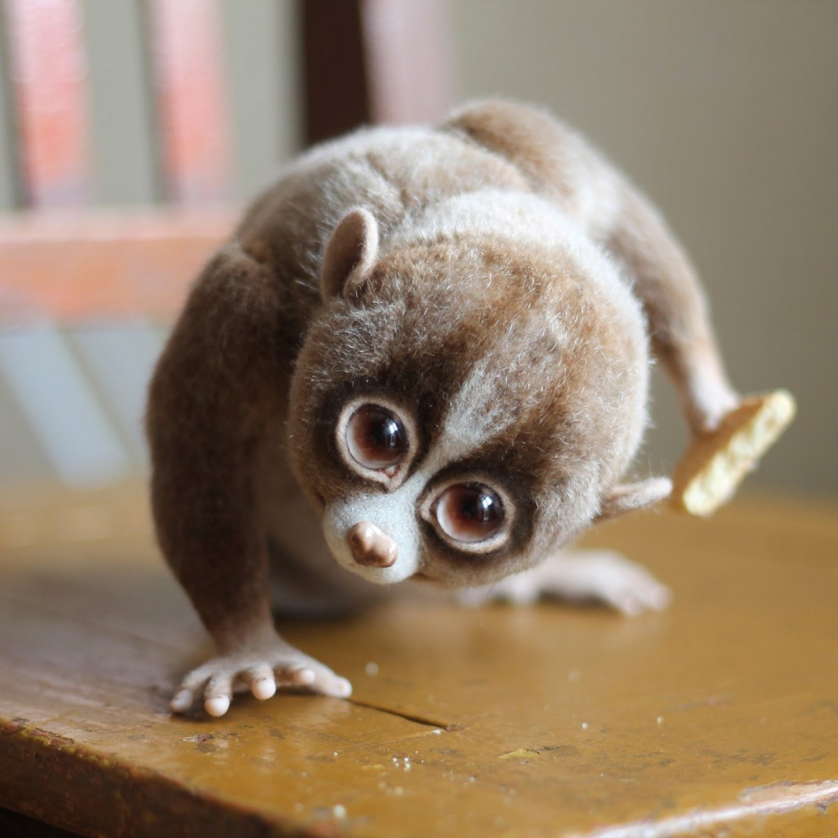Лемур Лори маленький