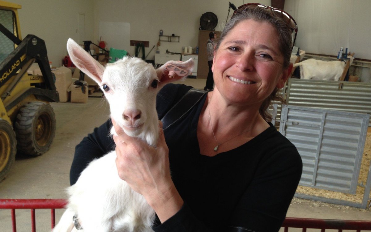 Мутированные животные в Припяти