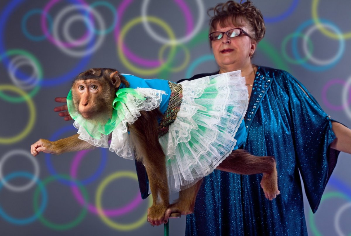 Цирковая мартышка