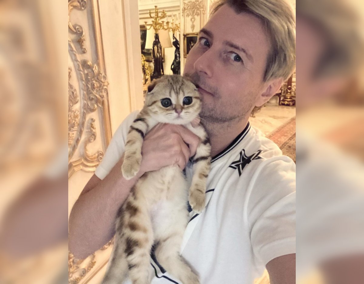 Кошечка Баскова Шанель