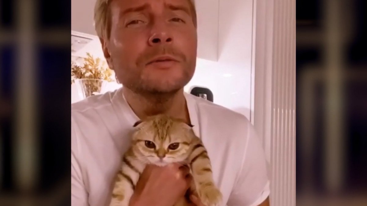 Кошка Баскова Шанель