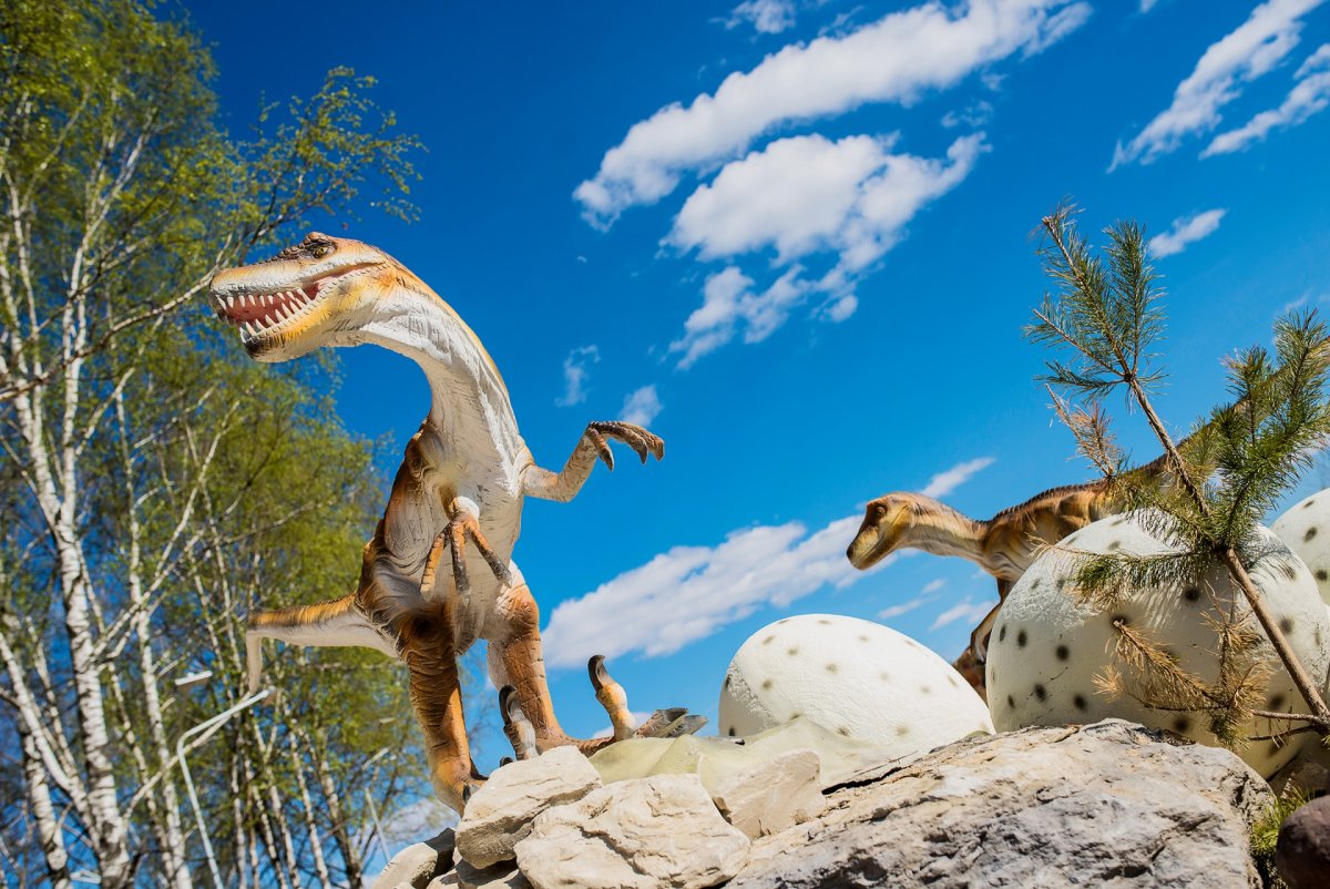 Юркин парк животные