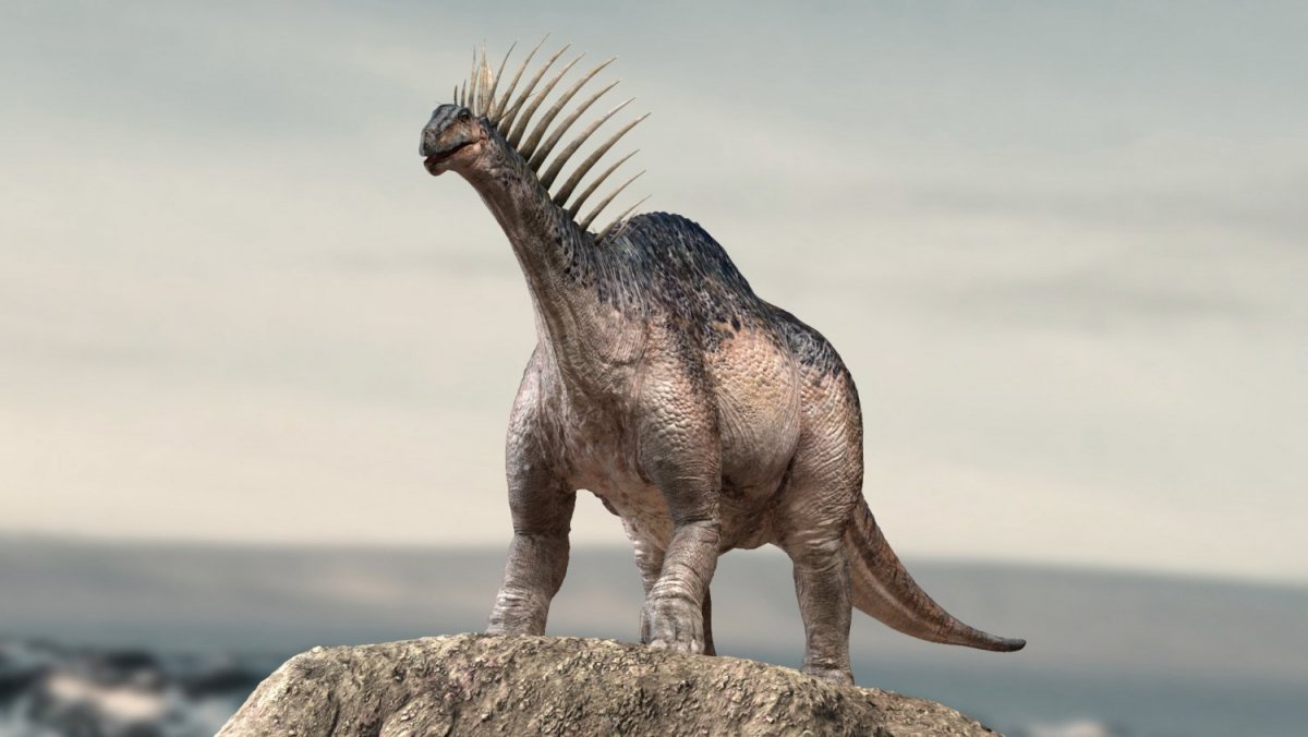 Обои с динозаврами на телефон