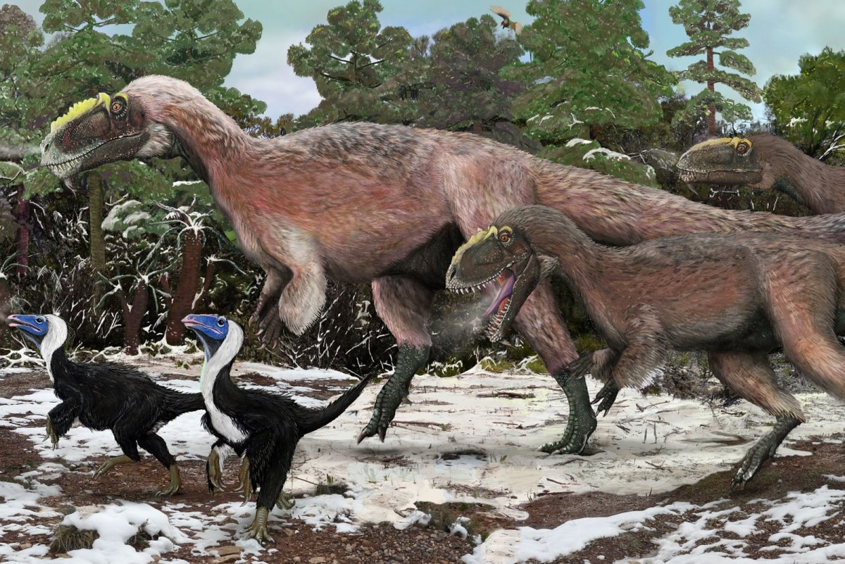 Прикольные картинки аниме животных