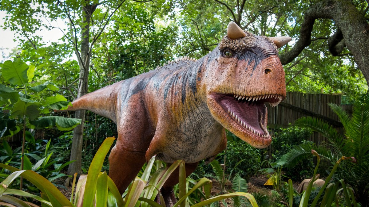 Самые редкие динозавры