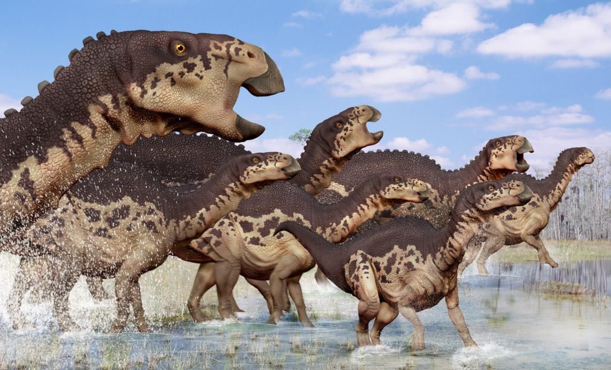 Эдмонтозавр динозавр