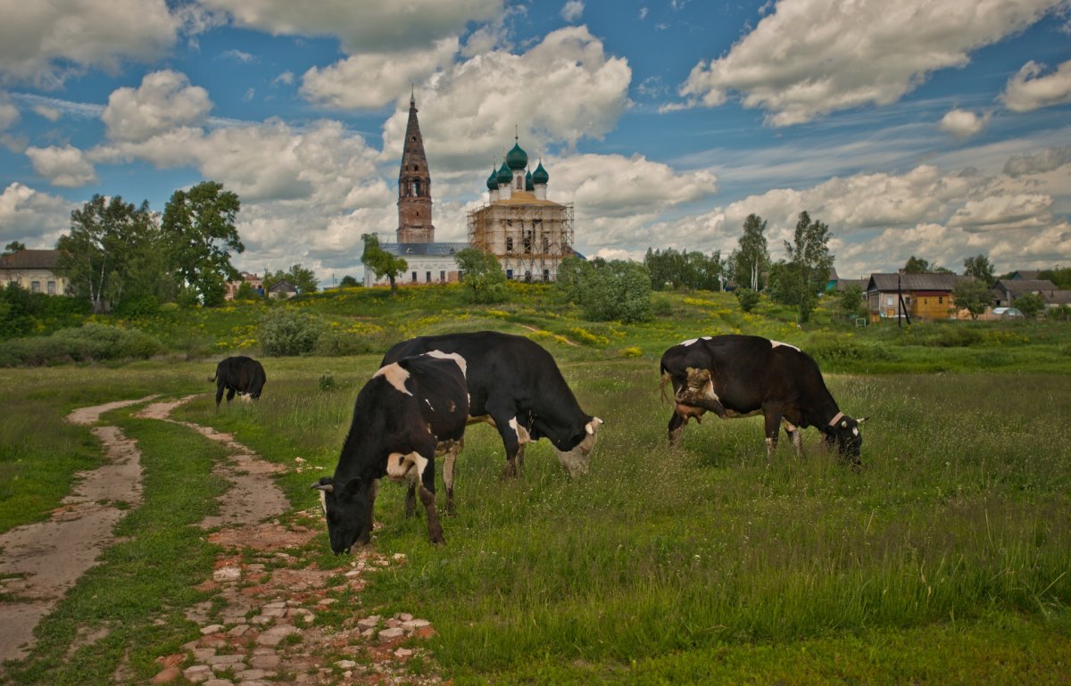 Современная Сельская жизнь