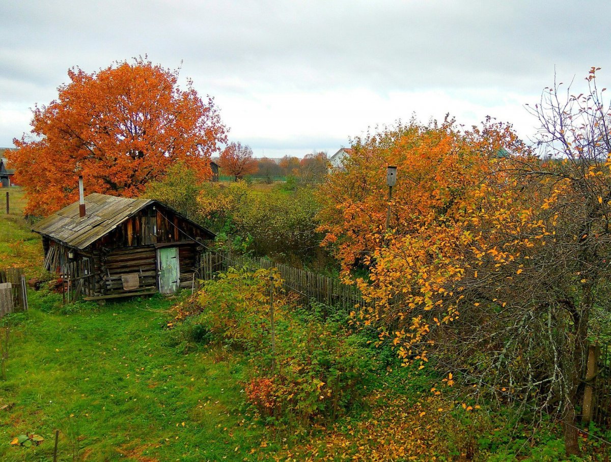 Осень в деревне