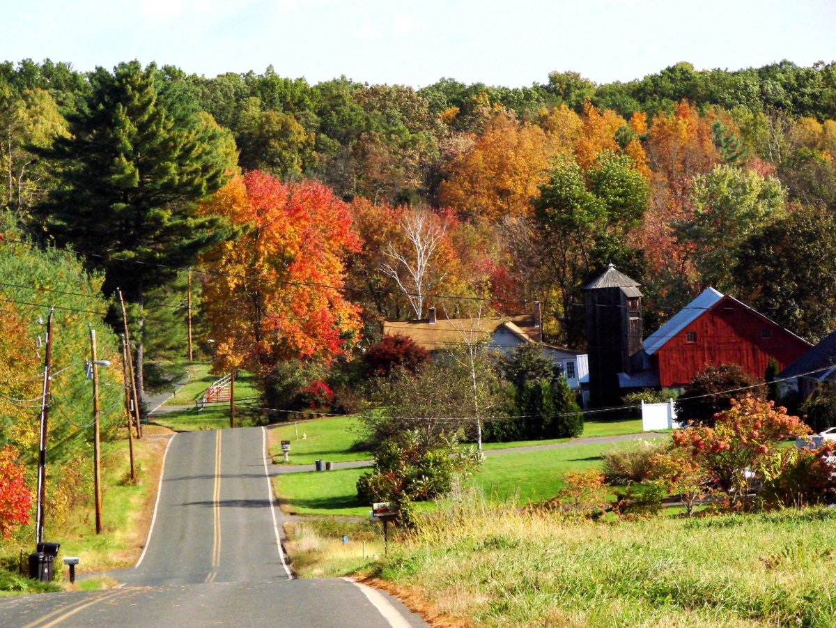 Лето в деревне