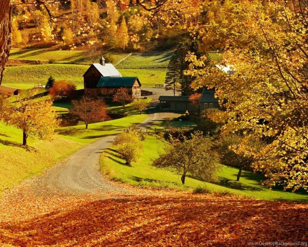 Осень деревня Зенькино