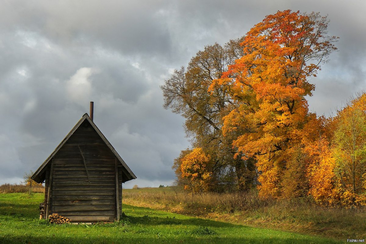 Природа России осень