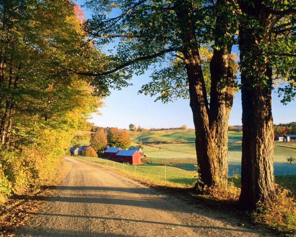 Деревня в лесу осенью