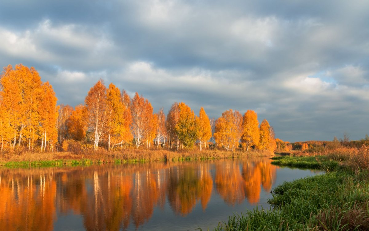 Золотая осень в России