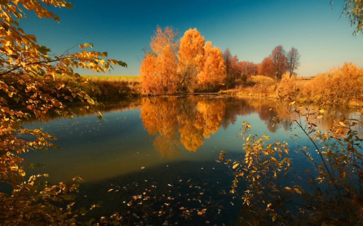 Осенний пейзаж Россия