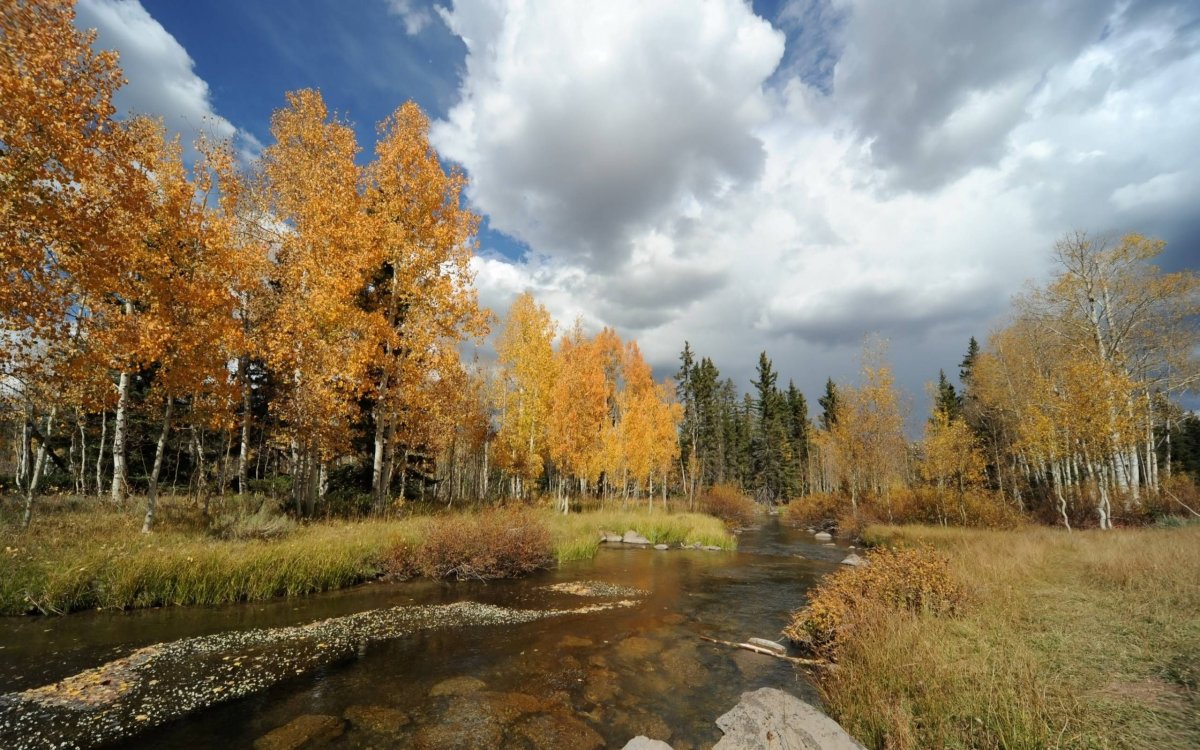 Сентябрь природа