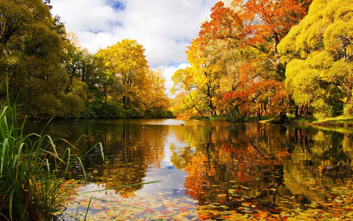 Красивая осень