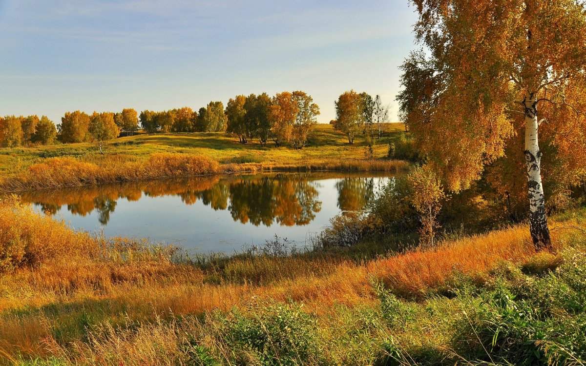 Золотая осень Вологодская деревня