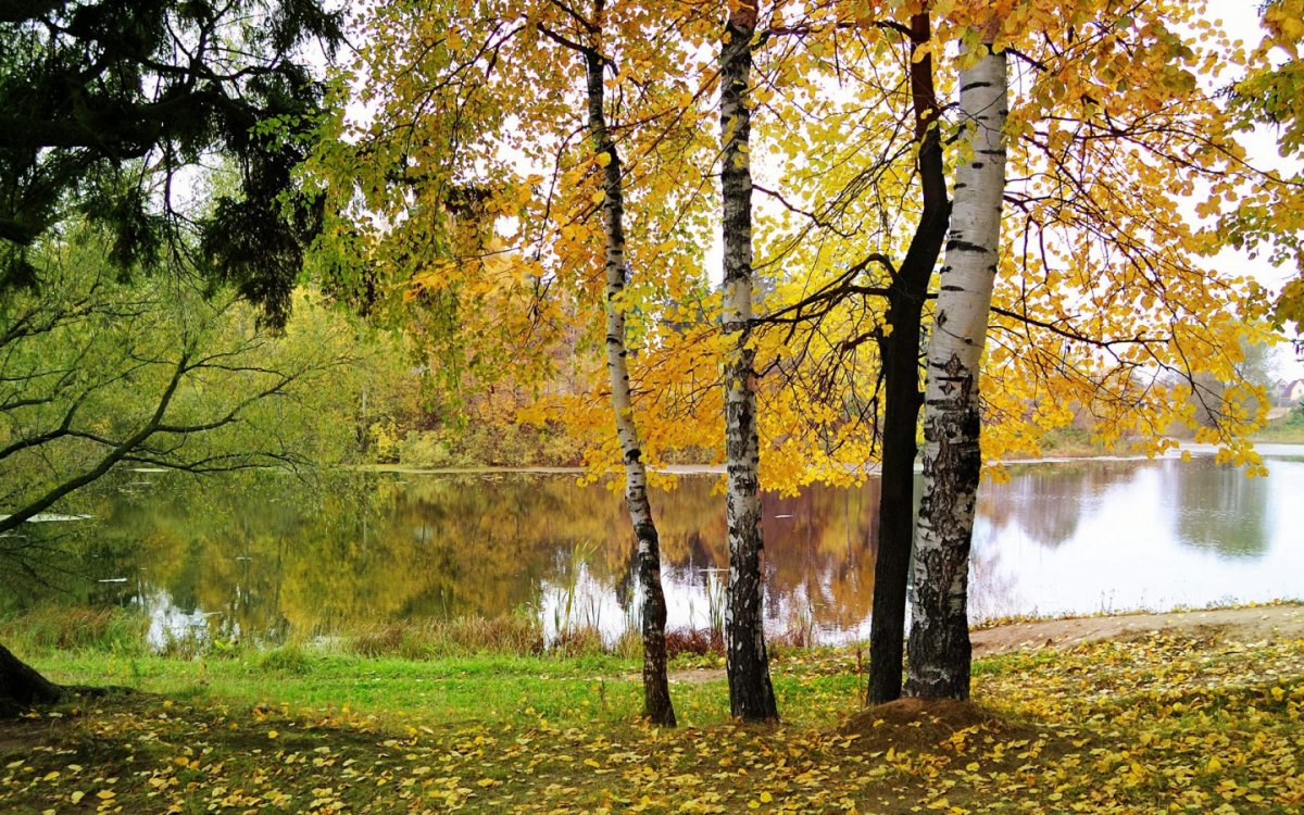 Ранняя осень Россия