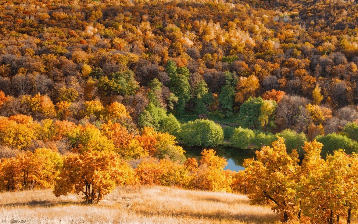 Осень в России