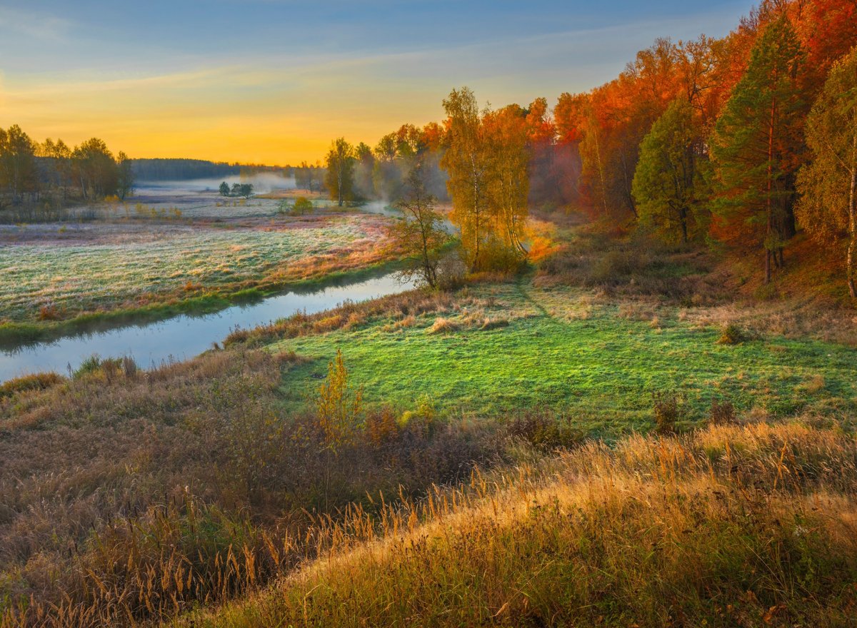 Осень в лесу Владимирская область